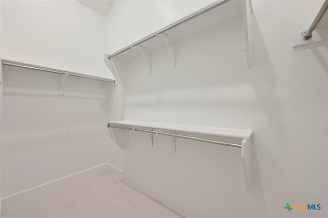 367 Five Mile Creek Way, Kyle, TX 78640 - walk in closet with carpet flooring