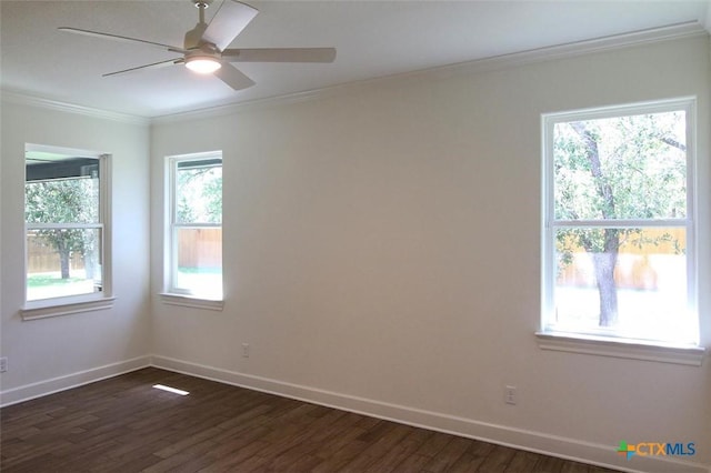 empty room with crown molding, ceiling fan, and dark wood-type flooring