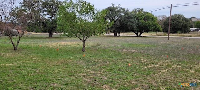 view of yard