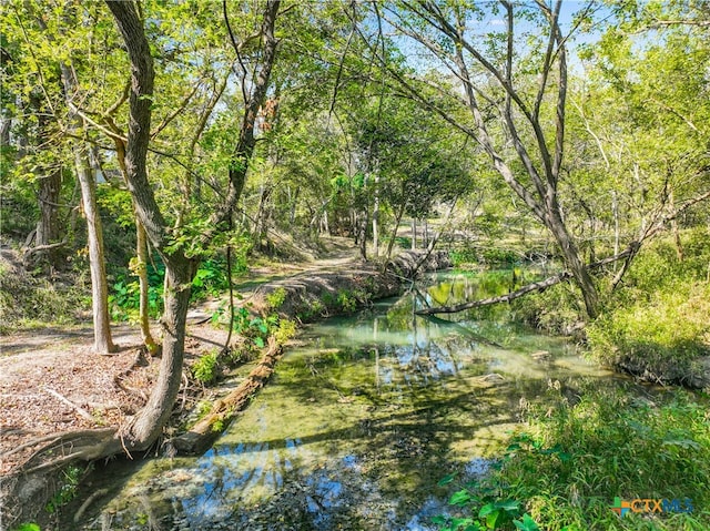 view of local wilderness