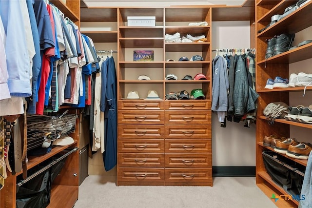101 Payne Stewart Dr, Round Rock, TX 78664 - walk in closet with carpet flooring