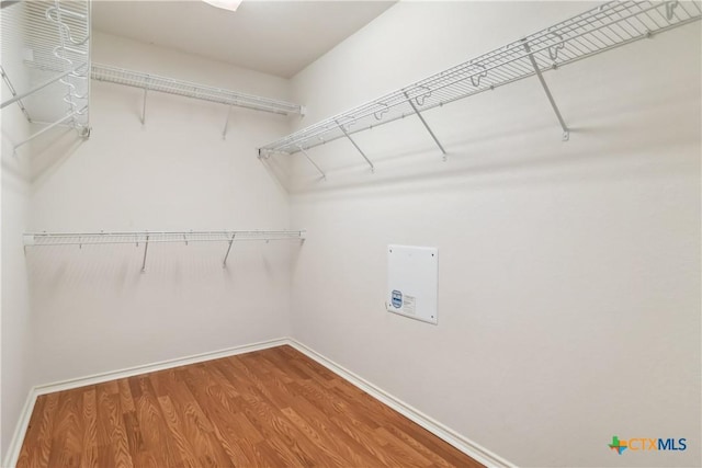 spacious closet featuring wood finished floors