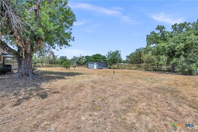 view of yard with a storage shed