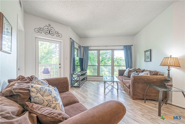 401 W Lincoln St Unit A201, New Braunfels, TX 78130 - living room with a textured ceiling and light wood finished floors