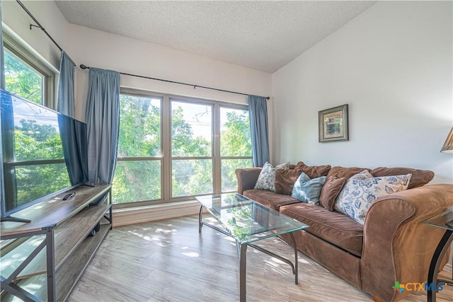 401 W Lincoln St Unit A201, New Braunfels, TX 78130 - living room with plenty of natural light, a textured ceiling, and wood finished floors