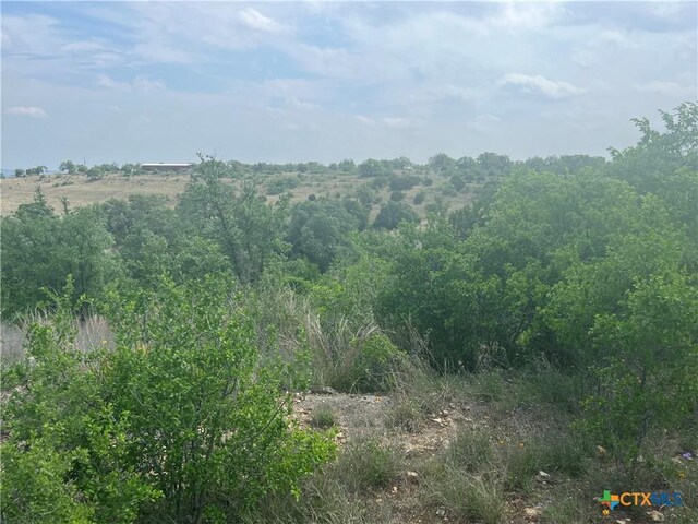 LOT63 Summit Ledge Dr, Johnson City, TX 78636 - photo 7