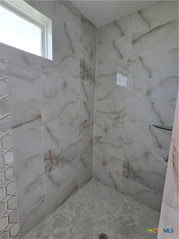 8186 S Lone Star Pkwy, Moody, TX 76657 - bathroom featuring tiled shower