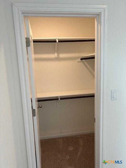 spacious closet featuring carpet floors