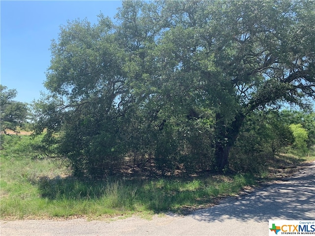 Listing photo 3 for TBD Spring St, Tow TX 78672