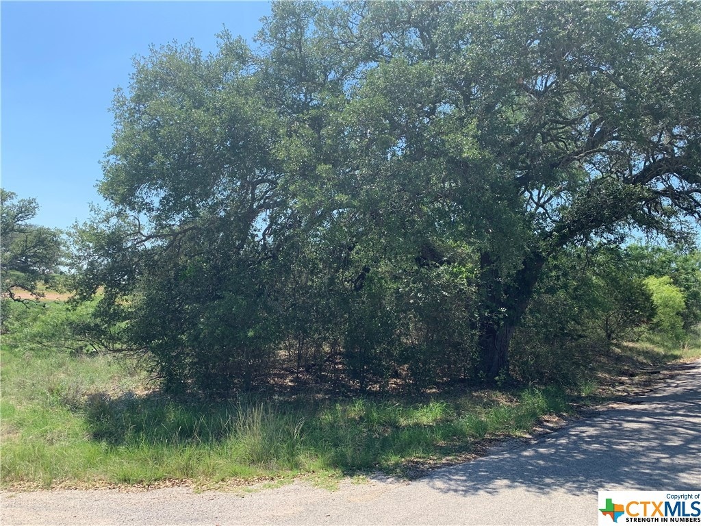 TBD Spring St, Tow, TX 78672 - photo 3