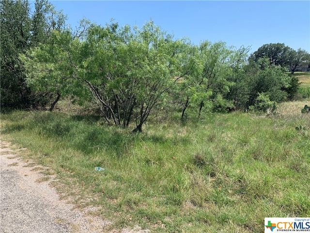 Listing photo 2 for TBD Spring St, Tow TX 78672