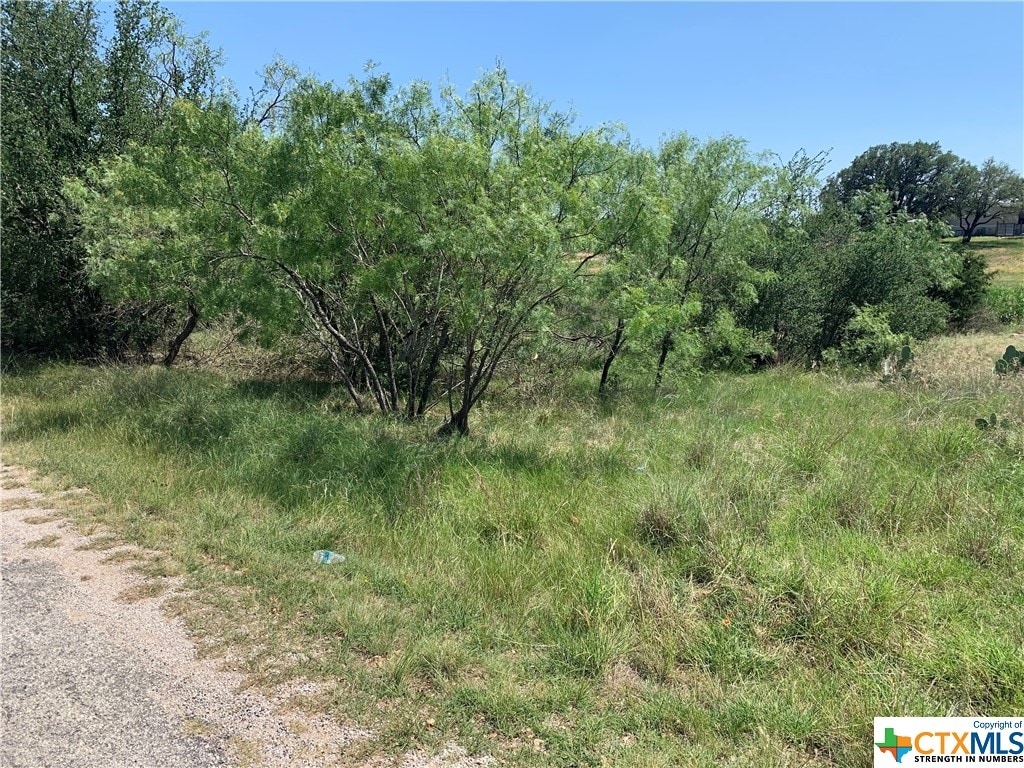 TBD Spring St, Tow, TX 78672 - photo 2