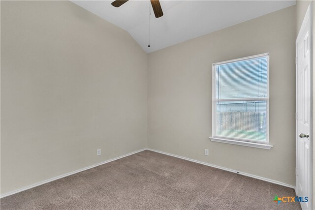 empty room with a wealth of natural light, lofted ceiling, and light carpet