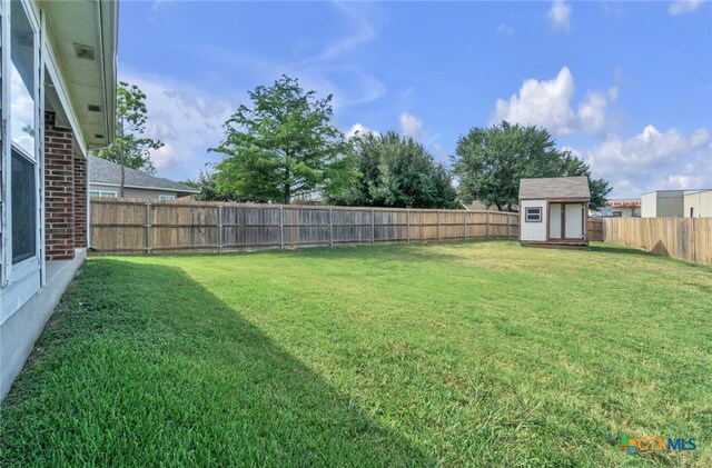 view of yard with a shed