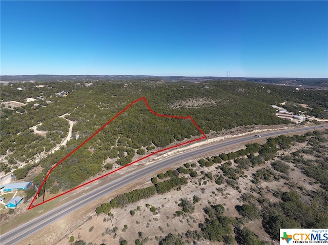 Listing photo 3 for L10 Fm 2673, Canyon Lake TX 78133