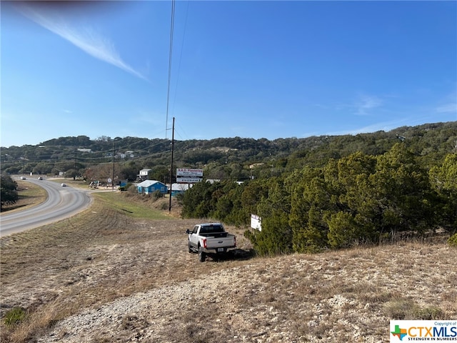 L10 Fm 2673, Canyon Lake TX, 78133 land for sale