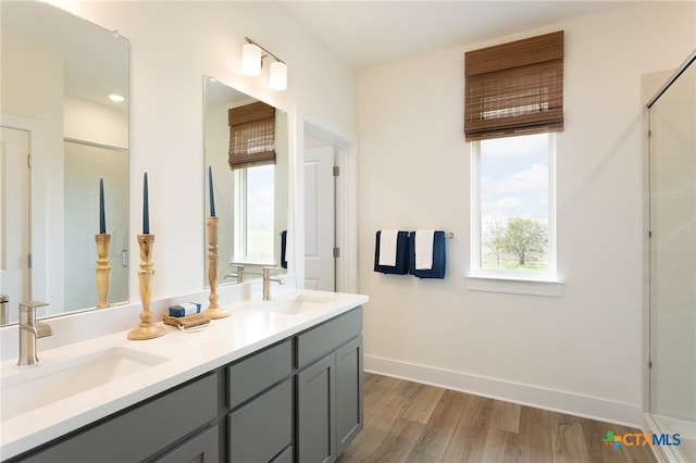 bathroom featuring wood-type flooring and vanity