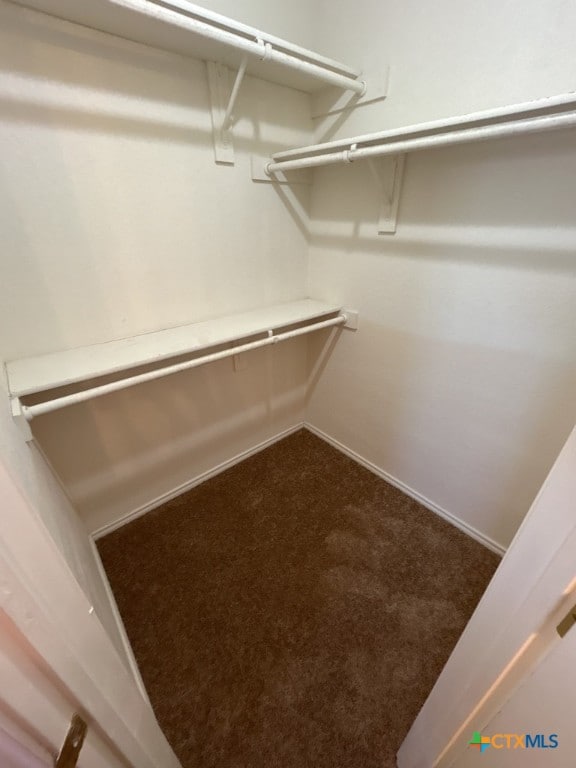 walk in closet with carpet