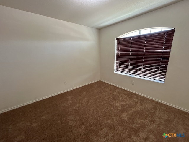 unfurnished room featuring carpet flooring