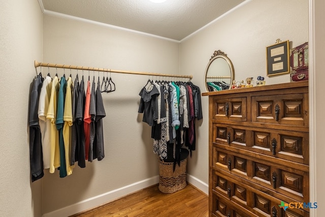 walk in closet featuring wood-type flooring