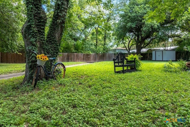 view of yard with a storage shed