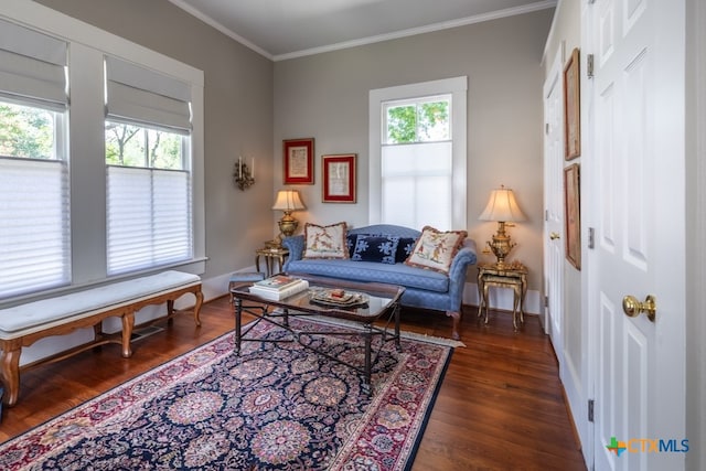 living room with dark wood-type flooring and crown molding