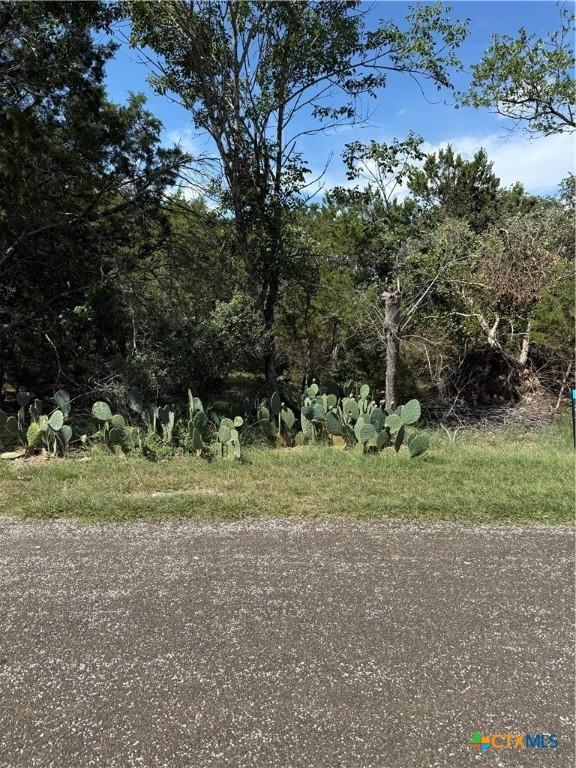 0000 Elf Trl, Belton, TX 76513 - photo 2