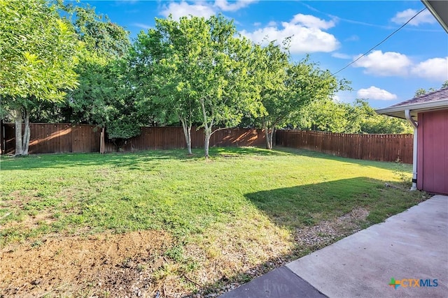 3615 Crosscut Loop, Killeen, TX 76542 - photo 26
