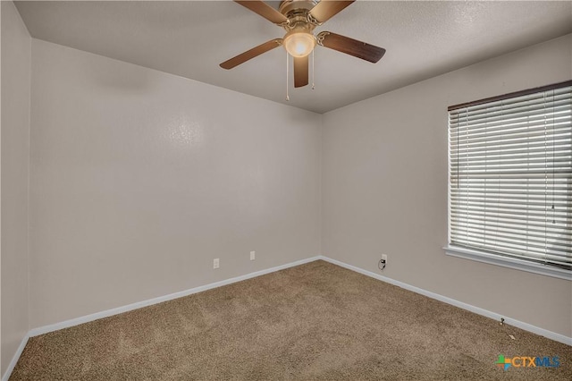 3615 Crosscut Loop, Killeen, TX 76542 - photo 15