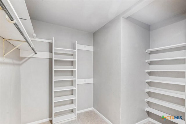walk in closet with carpet flooring