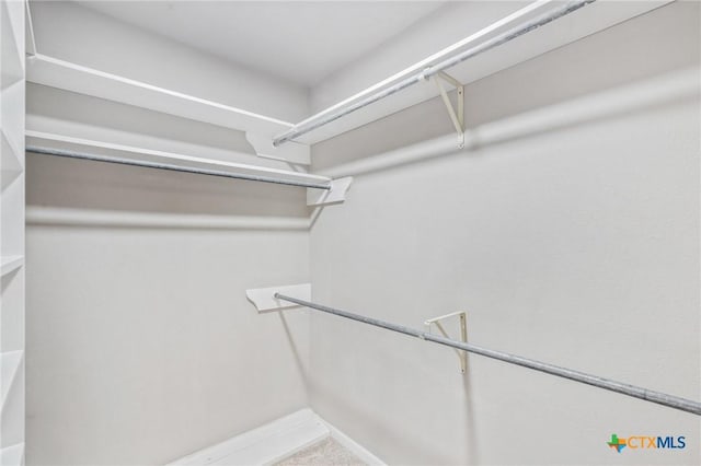 view of walk in closet