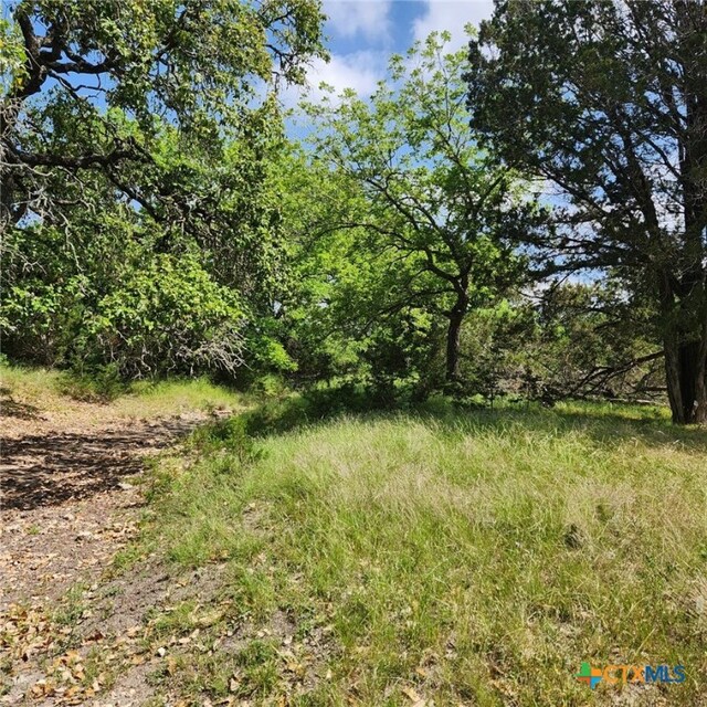 TBD Fm 2313, Kempner, TX 76539 - photo 8