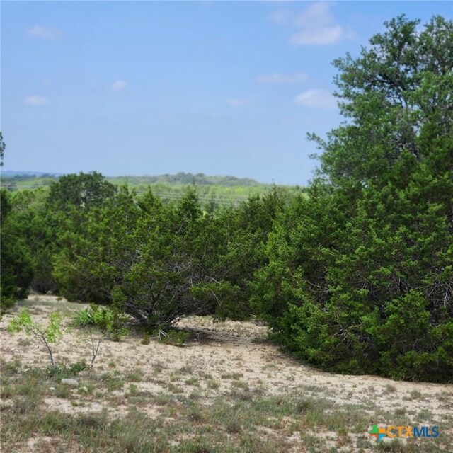 TBD Fm 2313, Kempner, TX 76539 - photo 12