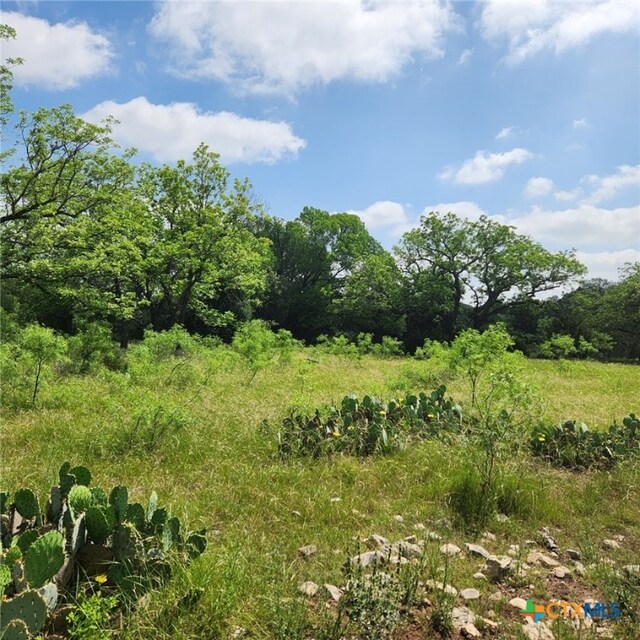 TBD Fm 2313, Kempner, TX 76539 - photo 4