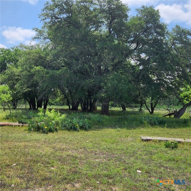 Listing photo 2 for TBD Fm 2313, Kempner TX 76539