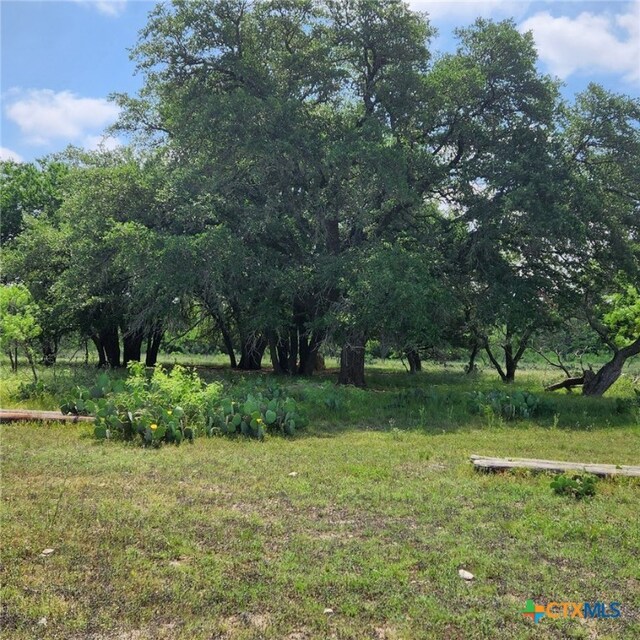 TBD Fm 2313, Kempner, TX 76539 - photo 2