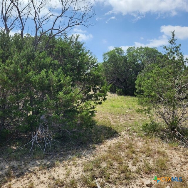TBD Fm 2313, Kempner, TX 76539 - photo 10