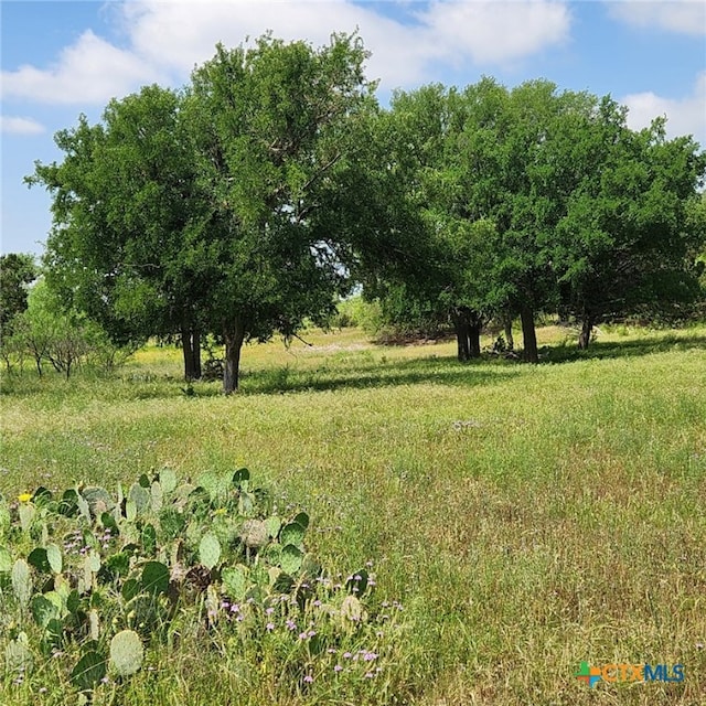 TBD Fm 2313, Kempner TX, 76539 land for sale