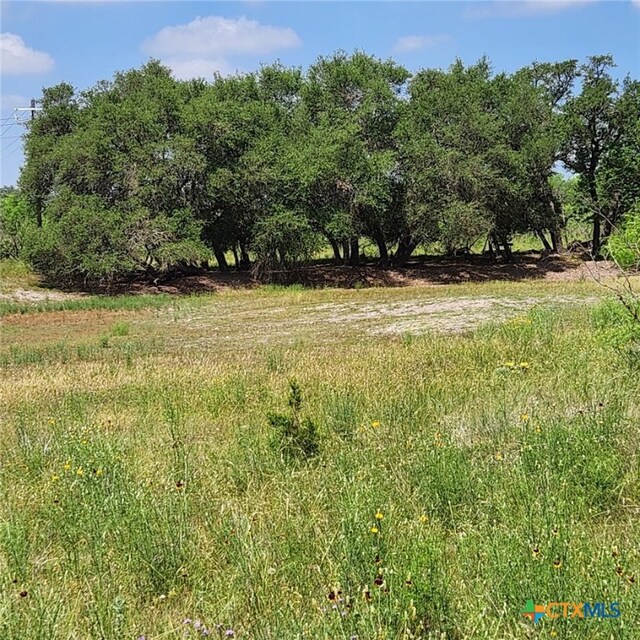 TBD Fm 2313, Kempner, TX 76539 - photo 16