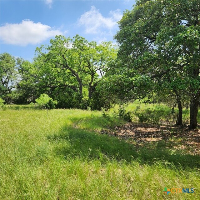 TBD Fm 2313, Kempner, TX 76539 - photo 6