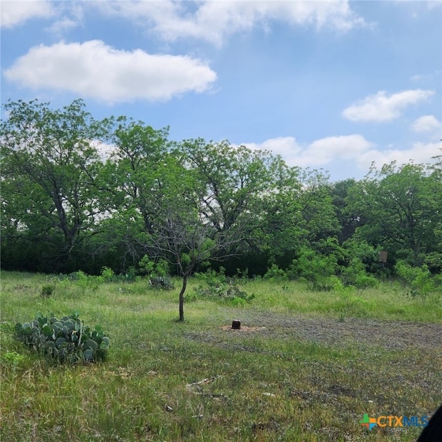 Listing photo 3 for TBD Fm 2313, Kempner TX 76539