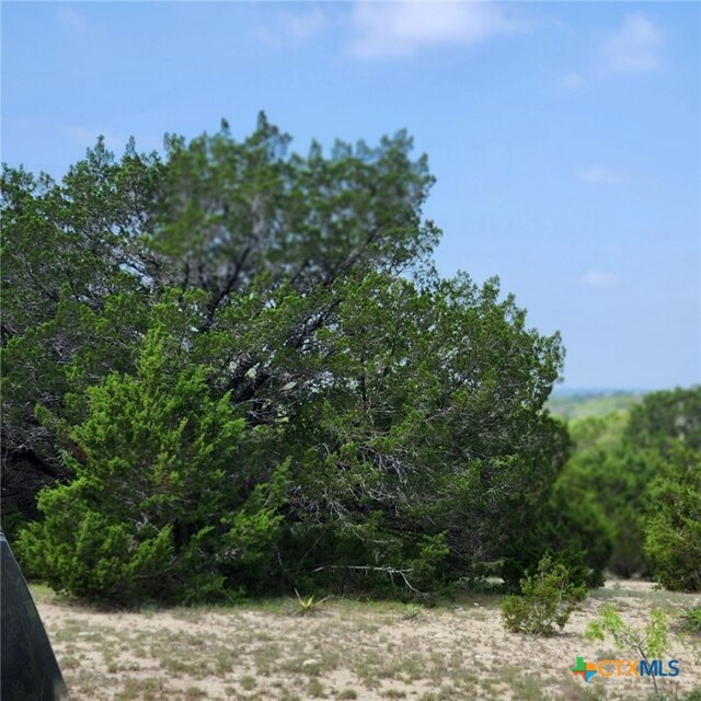 TBD Fm 2313, Kempner, TX 76539 - photo 11