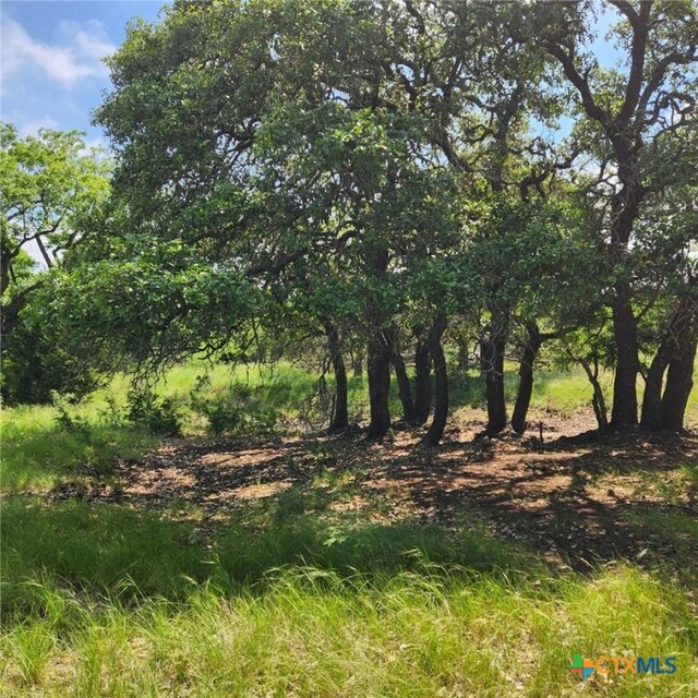 TBD Fm 2313, Kempner, TX 76539 - photo 7