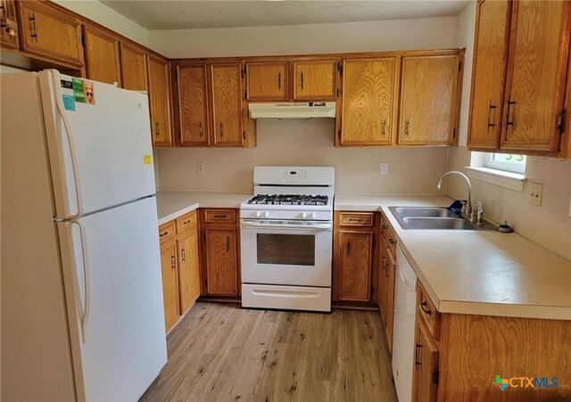 kitchen with a textured ceiling, light hardwood / wood-style floors, sink, and white appliances