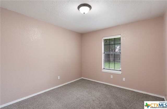 spare room featuring carpet and a textured ceiling