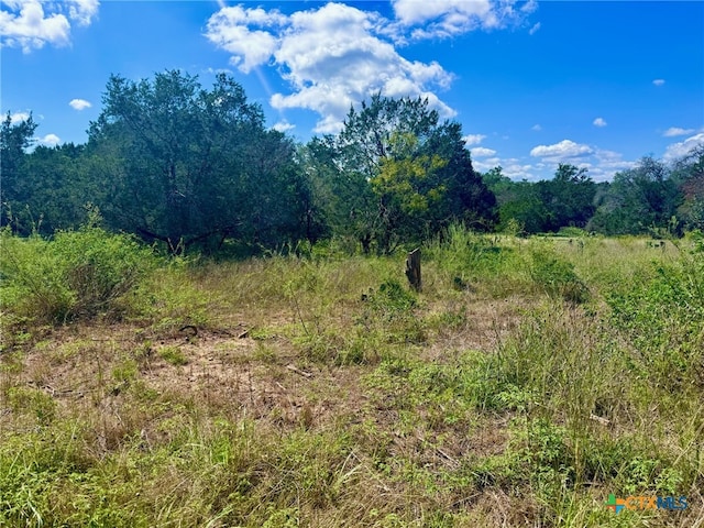 21411 Bluejay Blvd, Lago Vista TX, 78645 land for sale