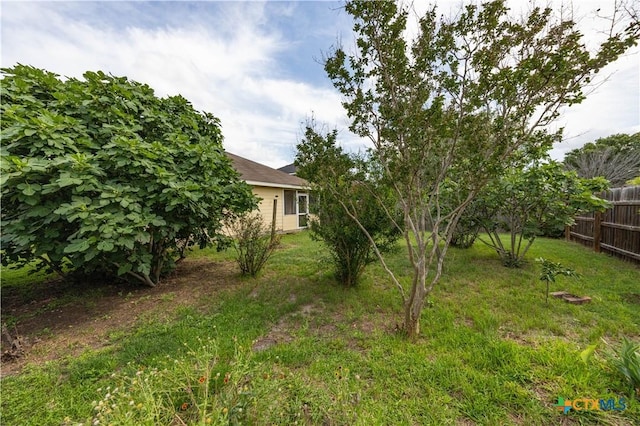 3259 Wren Brook Dr, New Braunfels, TX 78130 - view of yard