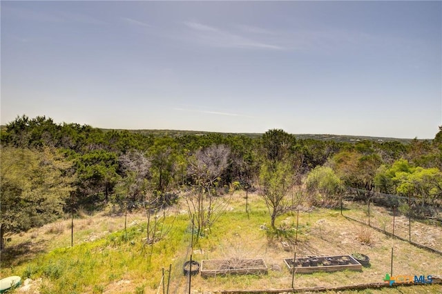 1550 Moon View Dr, New Braunfels, TX 78132 - view of local wilderness featuring a wooded view