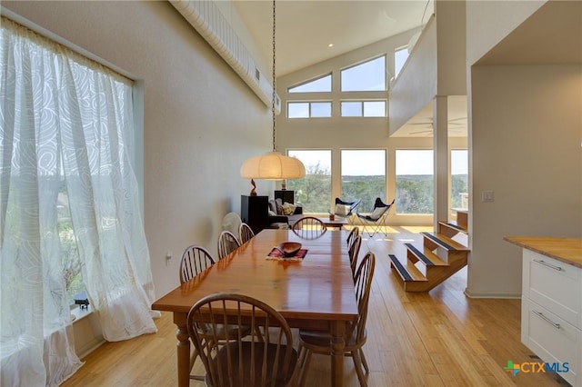 1550 Moon View Dr, New Braunfels, TX 78132 - dining room featuring light wood finished floors and high vaulted ceiling