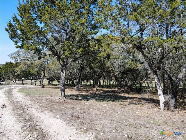 TBD Fm 439, Belton, TX 76513 - photo 2